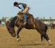 rodeo-cowboy-bronco